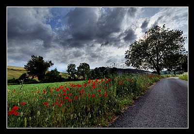 Solitary Road