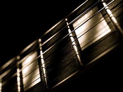 Shadow Play Fretboard