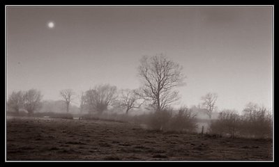 Moonlight & Misty morning