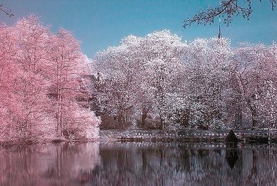 At the Pond (IR)