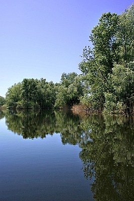 Miror River II