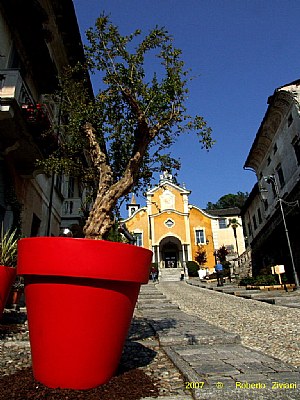 The red pot