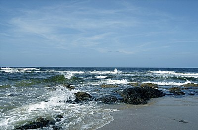 Beach & Rocks