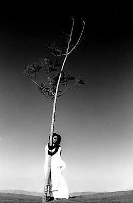 Solitude