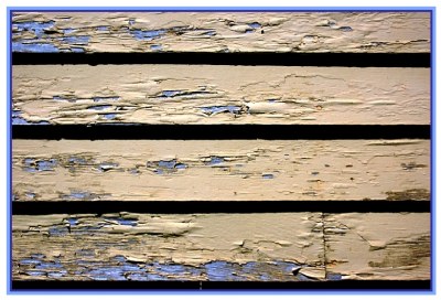  PAINT  
