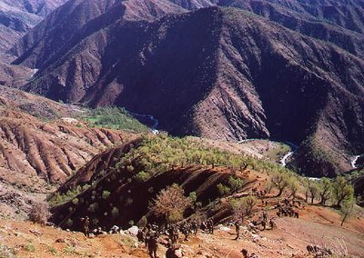 Soldiers In The Mountains