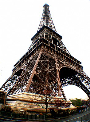 Eiffel in Bloom