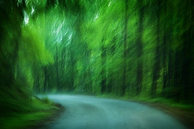 Misty Country Road (Impressionistic) 