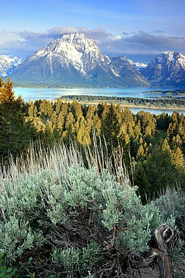 Jackson overlook