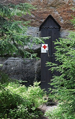 The red cross