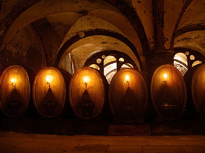 Bodegon de Vinos