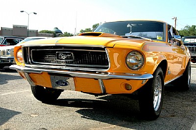 Mustang