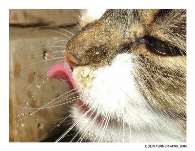 Thirsty