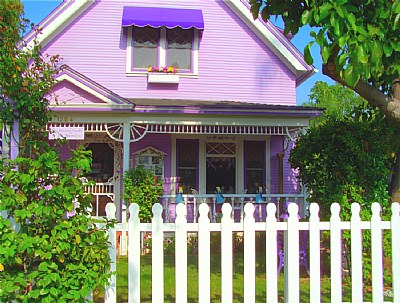 the purple house