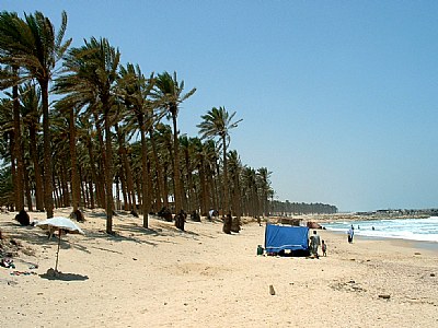 El- arish