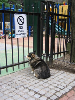 Waiting at the gate