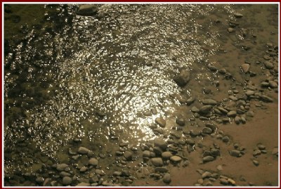 D - RIVER 