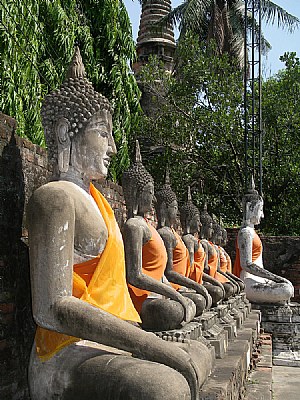 Buddhas in series...Ayatthuya