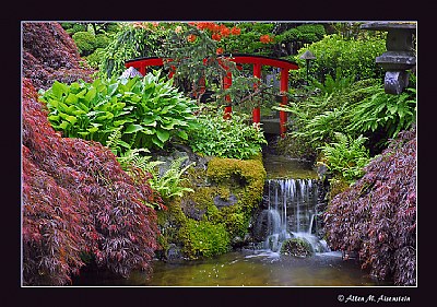 Butchart Gardens (d1249)