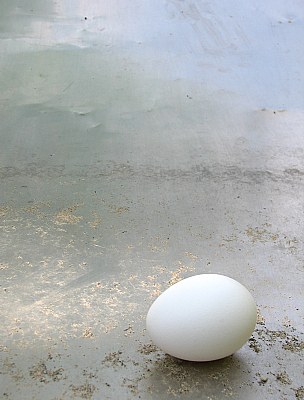 Egg on a Metallic Slide