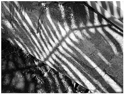 space & form 01