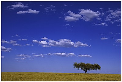 Alentejo