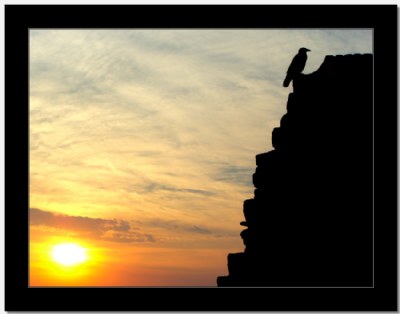 A solitary crow sits upon the city wall at sunset... 