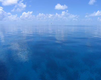 The Remote Island