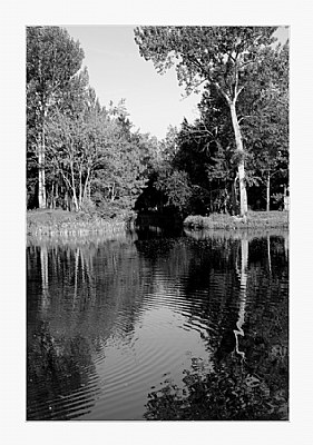 Serenity