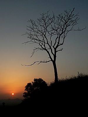 sunset in Assam