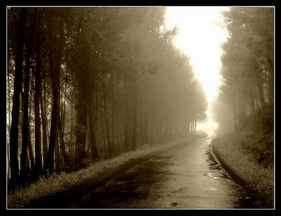 On the road