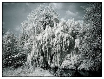 Amberg 2 (IR)