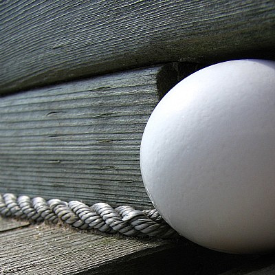 Egg on the Dock