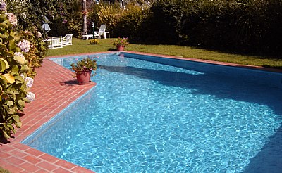 Pool & Flowers