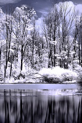 IR Trial 1