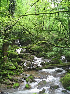 green