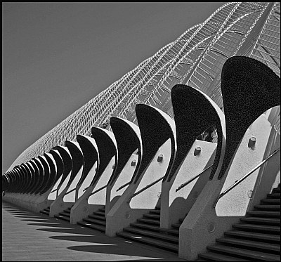 Arts and Sciences,Valencia