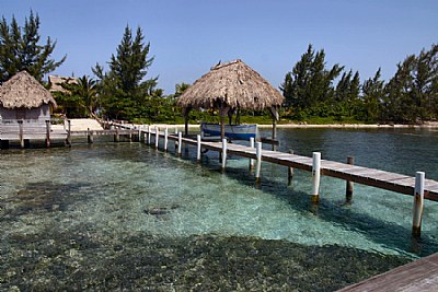 Roatan1