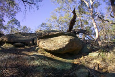 Roller Stranded Rock