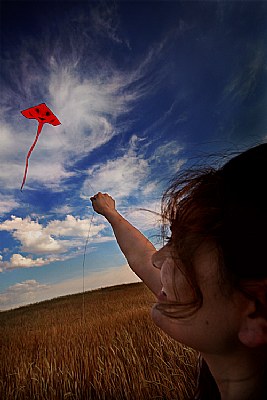 The Kite - 2