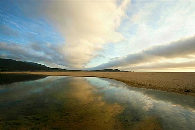 Carmel Reflection