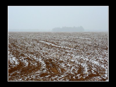 Sowing Snow