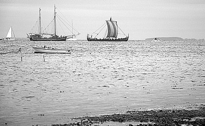 The seastallion
