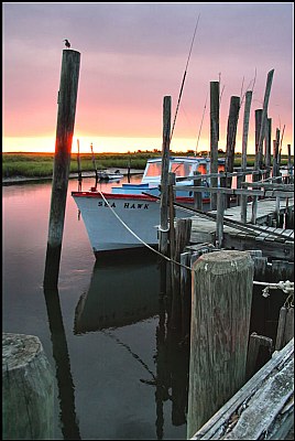 Sea Hawk sunrise