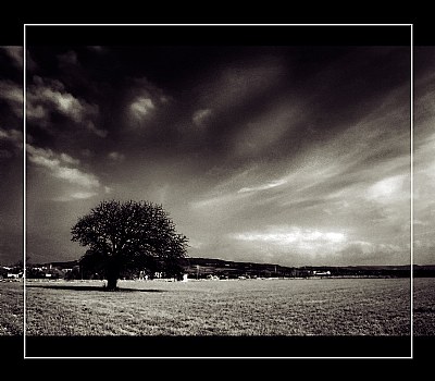 B&W Loneliness