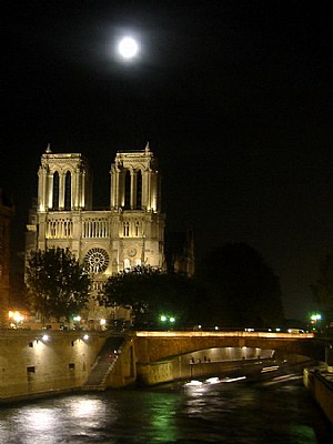 Notredame under moonlight