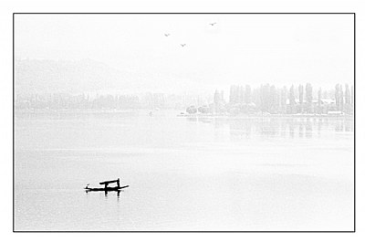 A Misty Morning