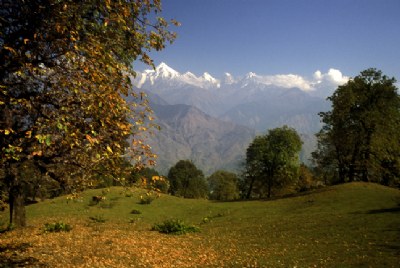 meadow&mountain