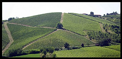 The Pentagon (wine version)