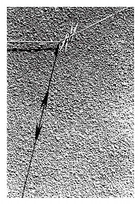 N0 181